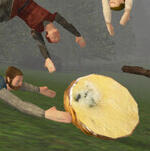 Cheese Rolling